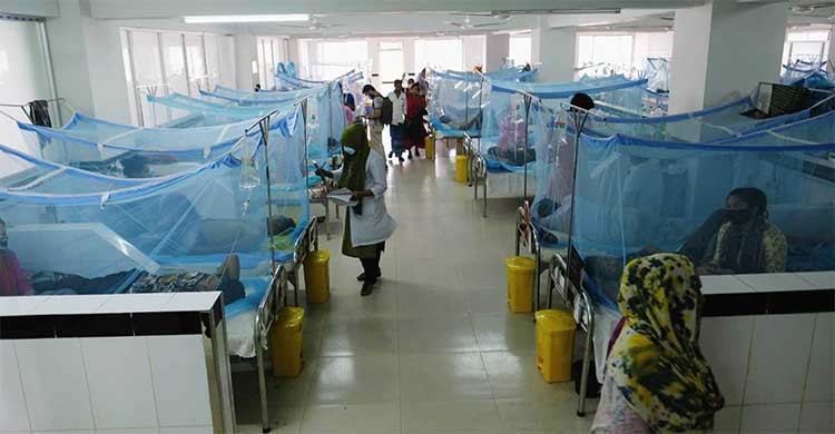 80 dengue cases reported in 24hrs