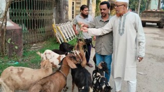 বরিশালে ১ বছর ‘সাজা খেটে’ মুক্তি পেল ৯টি ছাগল