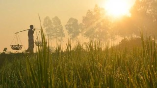 শীতের আভাস বাতাসে, রাতে কমছে তাপমাত্রা