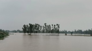 গাইবান্ধায় তিস্তার পানি বিপৎসীমার ওপরে,বন্যার আশঙ্কা