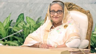 নতুন বছর অপশক্তির বিরুদ্ধে লড়াইয়ে প্রেরণা জোগাবে : প্রধানমন্ত্রী