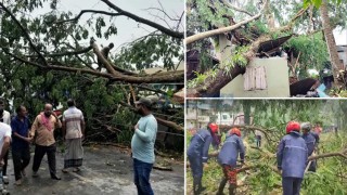 দেশের বিভিন্ন জায়গায় কালবৈশাখীর তাণ্ডব, নিহত ৭