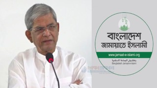 জামায়াতের সঙ্গে জোট অনেক আগেই অকার্যকর হয়ে গেছে: মির্জা ফখরুল