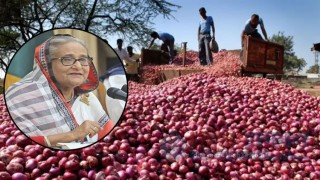 আগামীতে পেঁয়াজ আমদানি করতে হবে না : প্রধানমন্ত্রী