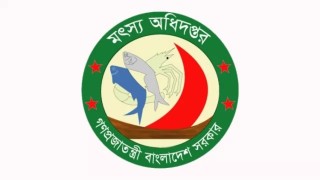 মৎস্য অধিদপ্তরে সাত ক্যাটাগরিতে চাকরির সুযোগ