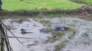 পত্নীতলায় রাস্তার পাশ থেকে মরদেহ উদ্ধার