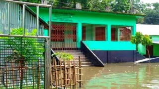 গাইবান্ধা বন্যায় ৬৩ প্রাথমিক বিদ্যালয়ে পাঠদান বন্ধ