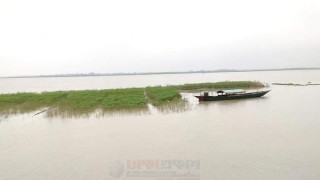 যমুনার পানি বিপৎসীমা ছুঁইছুঁই, বিলীন হচ্ছে নদীপাড়ের বসতভিটা