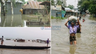 গাইবান্ধায় বন্যা পরিস্থিতির আরও অবনতি, পানিবন্দি ৫০ হাজার মানুষ