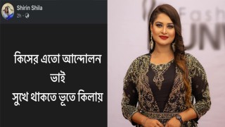 আন্দোলনকারী শিক্ষার্থীদের বিপক্ষে স্ট্যাটাস, তোপের মুখে শিরিন শিলা