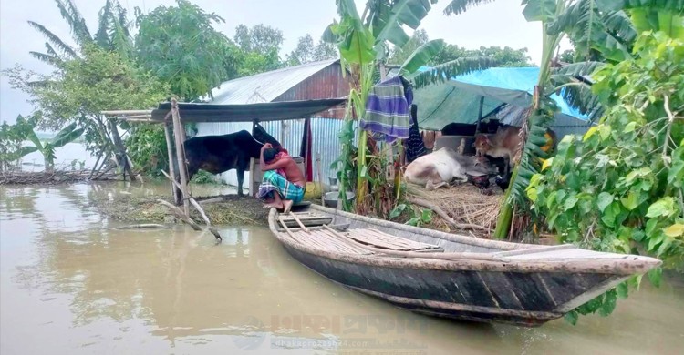 টাঙ্গাইলে বানভাসিদের মানবেতর জীবনযাপন, ডায়রিয়ার প্রকোপসহ ছড়াচ্ছে পানিবাহিত রোগ!