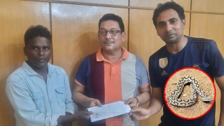 ফরিদপুরে জীবন্ত রাসেলস ভাইপার ধরে পুরস্কার পেলেন তিনজন