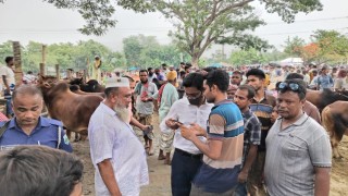 পশুহাটে অতিরিক্ত খাজনা আদায়, ইজাদারকে ৫০ হাজার টাকা জরিমানা