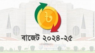 বাজেটে বাড়তে পারে যেসব পণ্যের দাম