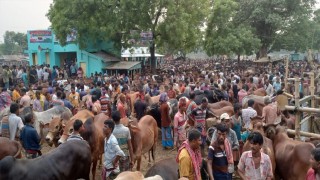 আর্থিক সংকটে কাঙ্খিত বেচা-কেনা হয়নি চুয়াডাঙ্গার পশুহাট গুলোতে