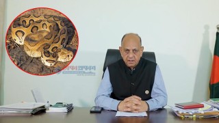 রাসেলস ভাইপারের উপদ্রব নিয়ে যা জানালেন স্বাস্থ্যমন্ত্রী