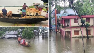 সিলেটে বন্যা পরিস্থিতির অবনতি, পানিবন্দি ৭ লাখ মানুষ