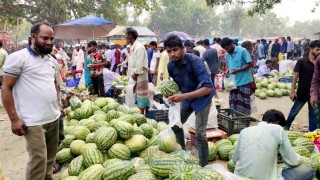 ১০০ টাকা পিস বিক্রি হচ্ছে ৭০ টাকা কেজির তরমুজ, ক্রেতাদের ভিড়!