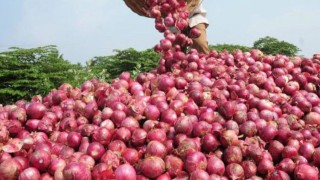 আগামী সপ্তাহে আমদানি করা পেঁয়াজ দেশে আসবে