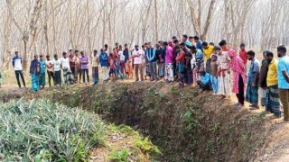 টাঙ্গাইলে রাবার বাগান থেকে মুখ ঝলসানো যুবকের লাশ উদ্ধার