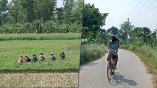 চুয়াডাঙ্গায় আবারো সর্বোচ্চ তাপমাত্রা রেকর্ড, বইছে তীব্র তাপপ্রবাহ