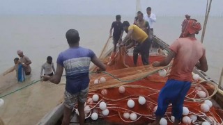 দুই মাস পর ইলিশ ধরতে নেমেছেন জেলেরা