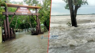 ঘূর্ণিঝড় রেমাল: জলোচ্ছ্বাসে তলিয়ে গেছে সুন্দরবন