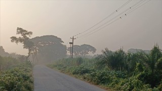 অগ্রাহায়নের শুরুতেই চুয়াডাঙ্গায় জেঁকে বসেছে শীত, দেশের সর্বনিম্ন তাপমাত্রা রেকর্ড