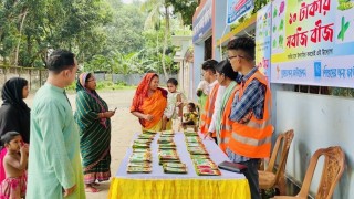 টাঙ্গাইলে ১০ টাকায় মিলছে সবজি বীজ!