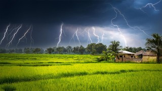 কুষ্টিয়ায় বজ্রপাতে চারজনের মৃত্যু