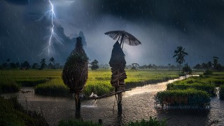 সন্ধ্যার মধ্যে সারাদেশে বজ্রসহ বৃষ্টির আভাস