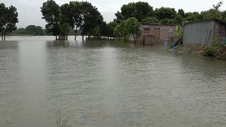 তিস্তা ও অন্যান্য নদীর পানিতে রংপুরসহ ৫ জেলার নিম্নাঞ্চল প্লাবিত