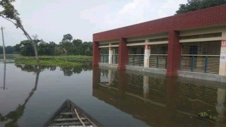 নওগাঁয় বৃদ্ধি পাচ্ছে ছোট যমুনা এবং আত্রাই নদীর পানি