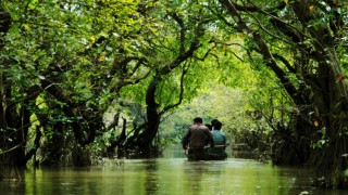 ভারতে পালাতে চুক্তি,  ১১ বাংলাদেশিকে সুন্দরবনে রেখে পালিয়েছে দালাল