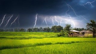 সিলেট-সুনামগঞ্জে বজ্রপাতে ৮ জনের প্রাণহানি