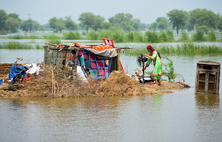 বন্যায় বিপর্যস্ত পাকিস্তান