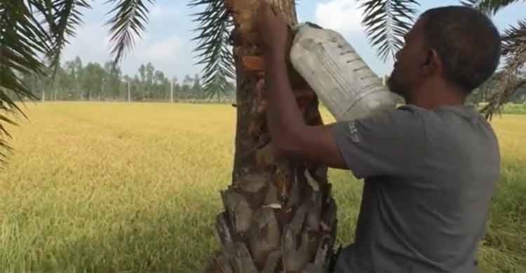 কুড়িগ্রামের খাঁটি খেজুরের গুড়