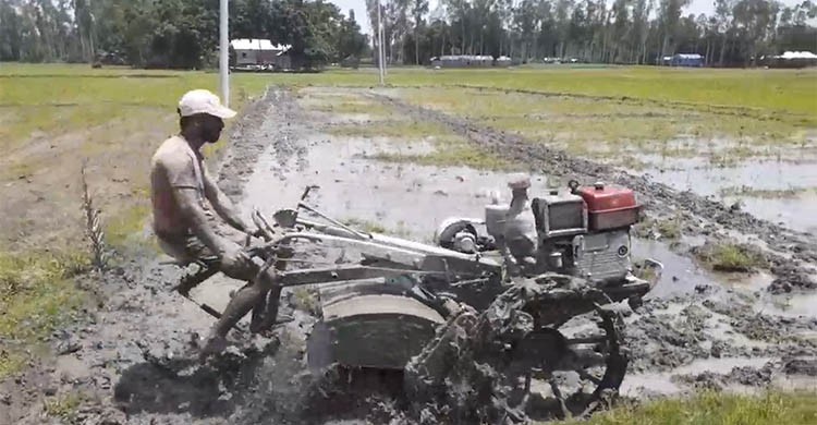 কুড়িগ্রামে খরা, পানির অভাবে বন্ধ আমনের রোপণ