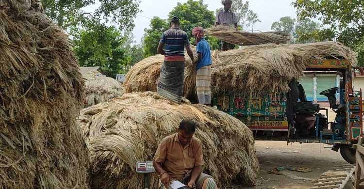 সিরাজগঞ্জের হাটে হাসি নেই পাটে