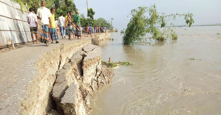 কুড়িগ্রাম চরাঞ্চলে নদী ভাঙনে বসতবাড়ি দোকানঘর বিলীন