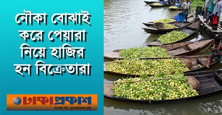 দক্ষিণ এশিয়ার সবচেয়ে বড় ভাসমান পেয়ারার হাট