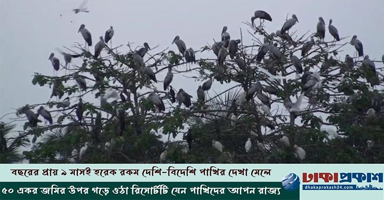 শীত শেষ হলেও অরুণিমা ছাড়েনি বিদেশি পাখিরা