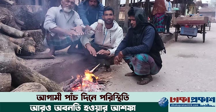 বরিশালে মৃদু শৈত্যপ্রবাহ, বিপাকে কৃষক ও দিনমুজুর