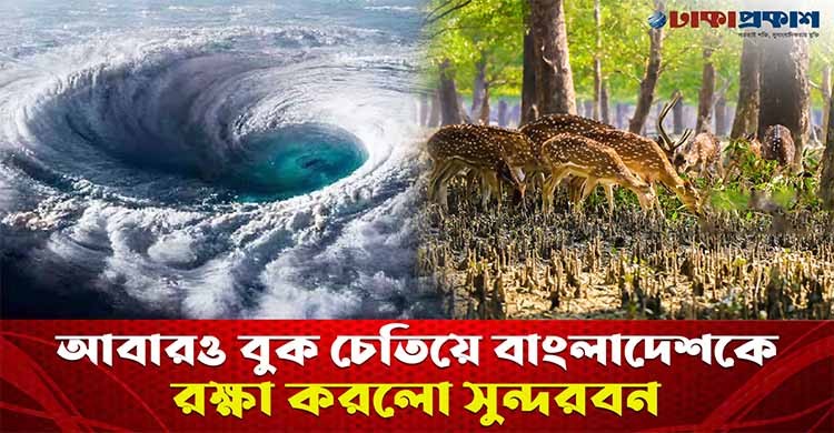 আবারও বুক চেতিয়ে ঢাল হয়ে বাংলাদেশকে রক্ষা করলো সুন্দরবন