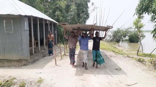 ধরলা-তিস্তার ভাঙনে আড়াই শতাধিক বসতবাড়ি বিলীন