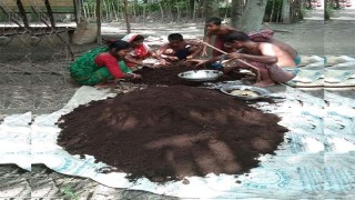 ঊর্ধ্বমুখী রাসায়নিক সারের বাজারে কেঁচো সারের সম্ভাবনা