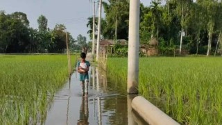 ৩১ বছরেও জোটেনি সেতু, আছে কেবল খাল!