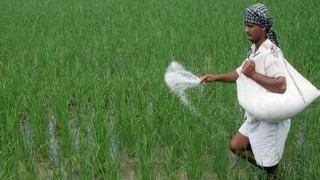 সারের ব্যবহার পরিমিত করতে কৃষি মন্ত্রণালয়ে পরামর্শ