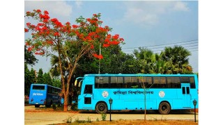 ও গুলমোহর, ওগো কৃষ্ণচূড়া