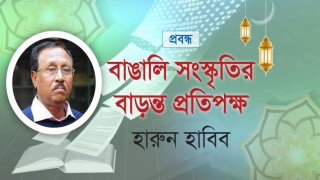 প্রবন্ধ / বাঙালি সংস্কৃতির বাড়ন্ত প্রতিপক্ষ